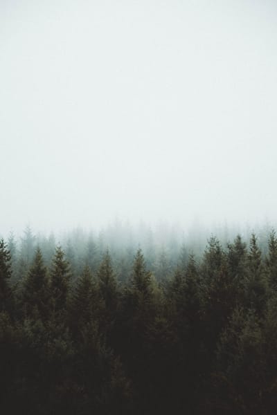 la naturaleza image