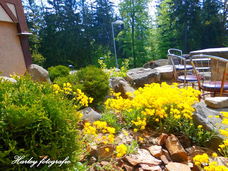 Nature, flowers, waters