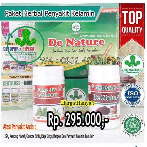 Harga obat untuk penis yang mengeluarkan nanah paling manjur