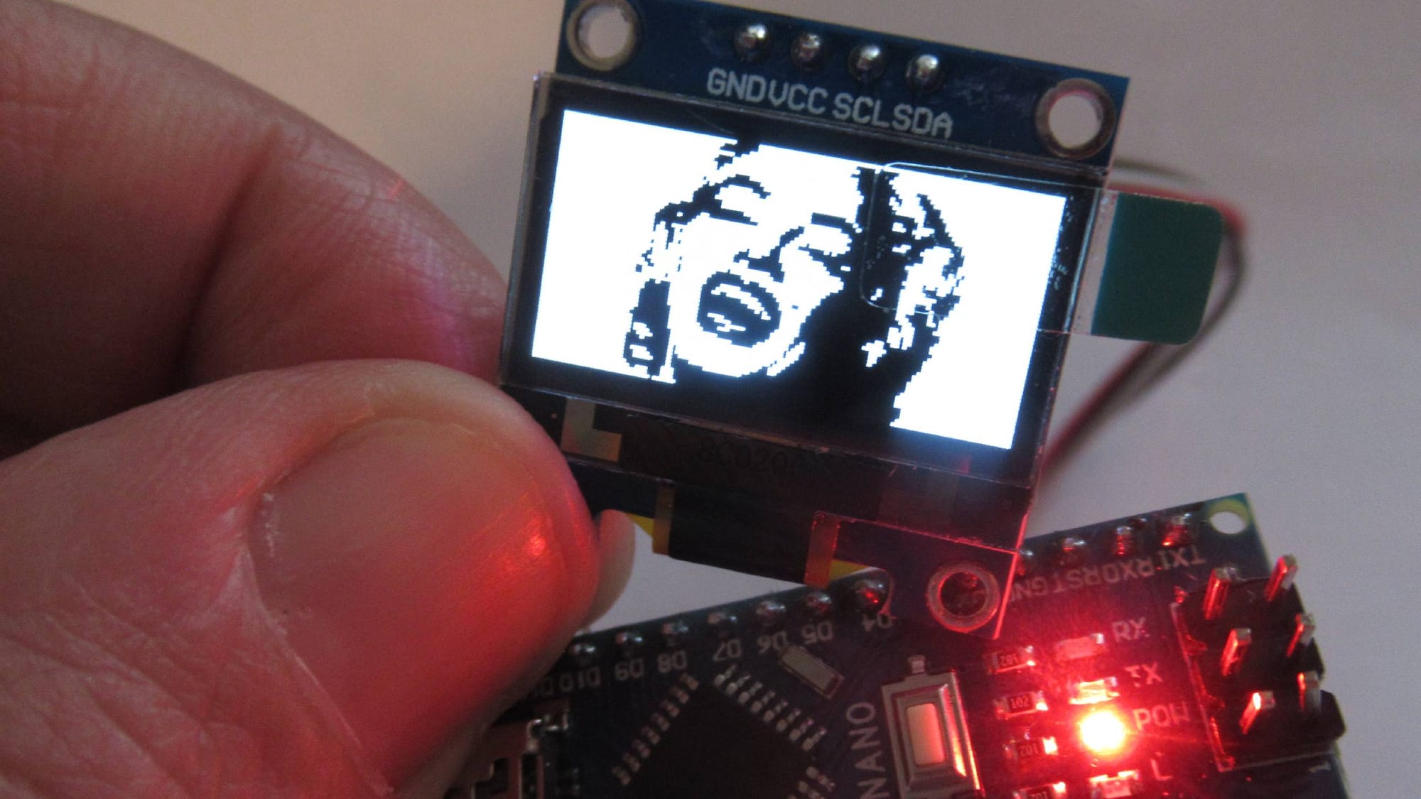 codice immagine oled arduino