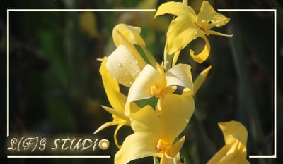 מי אנחנו image