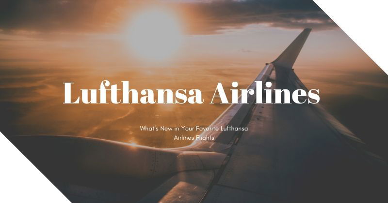 What’s New in Your Favorite Lufthansa Airlines Flights