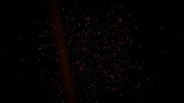 حقيقة اغتصاب نساء المهاجرين