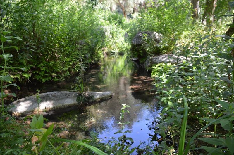 Nature