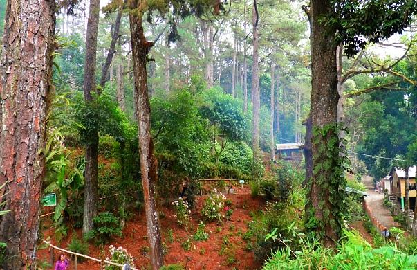 Parque Nacional El Boquerón