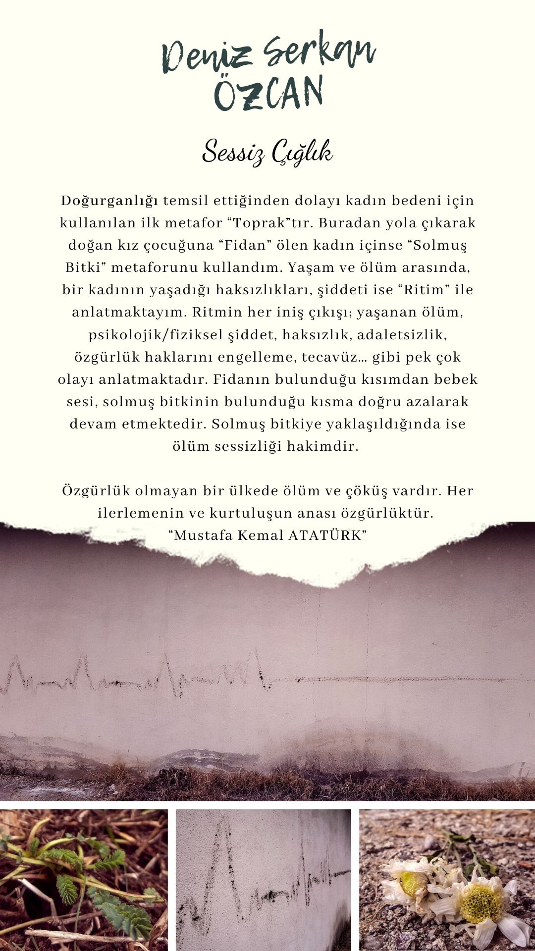 Sessiz Çığlık (Silent Scream)