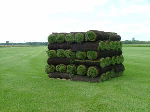 Lawn &amp; Compost Supply