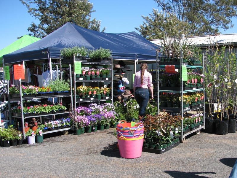 STALLS + DISPLAY SITES