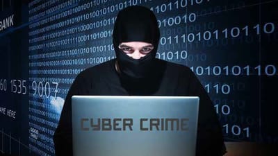 Delito Cibernetico, crimen y fraude image