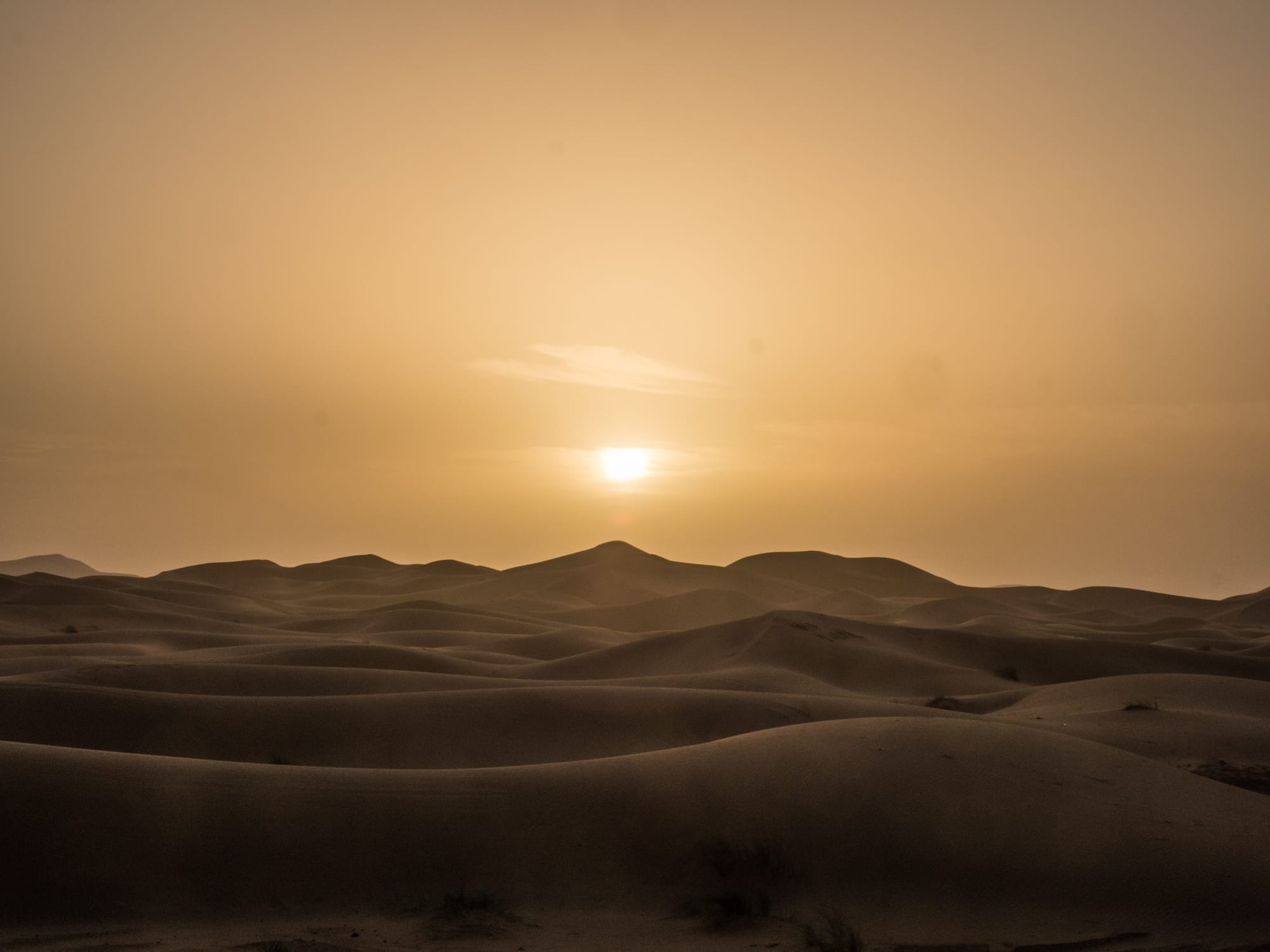 Matinada al desert