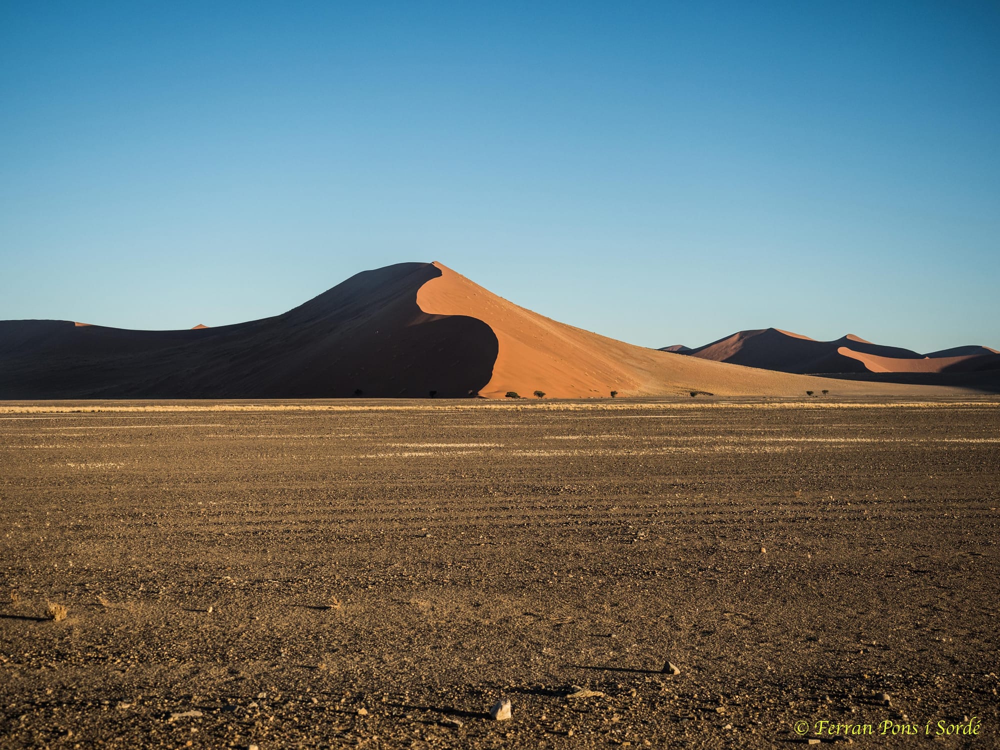 Desert vermell