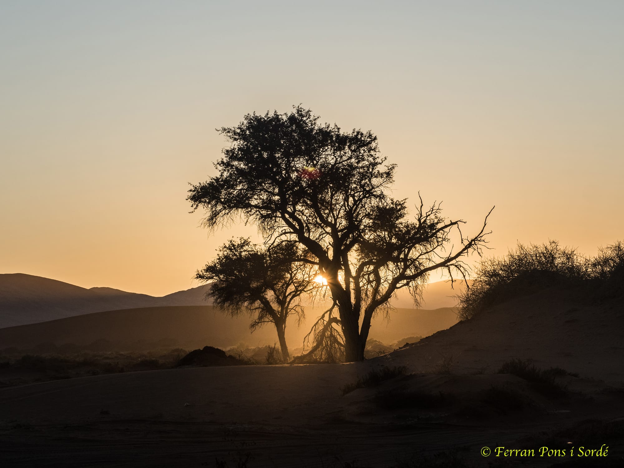 Desert vermell a l'alba