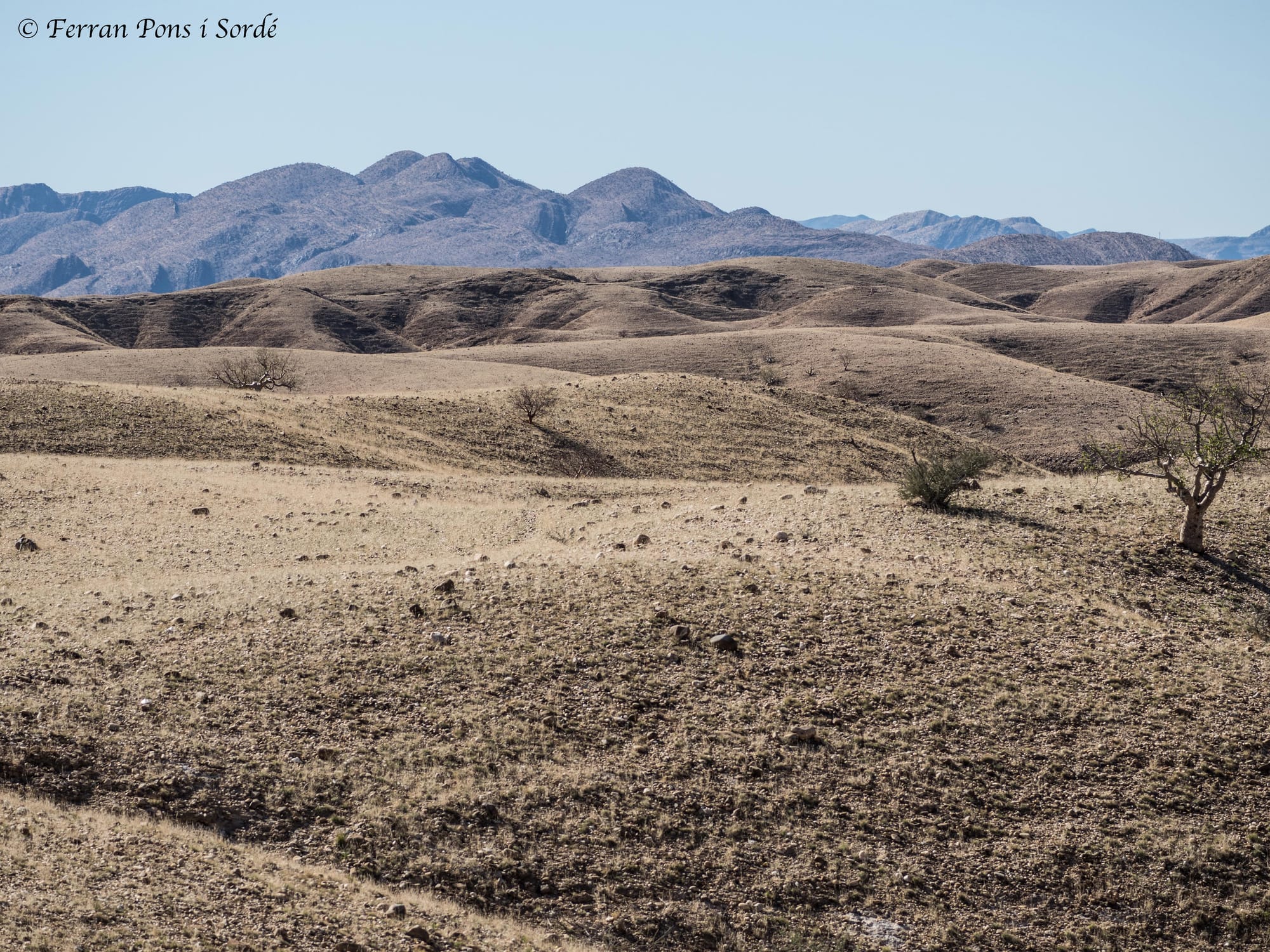 Desert del Namíb