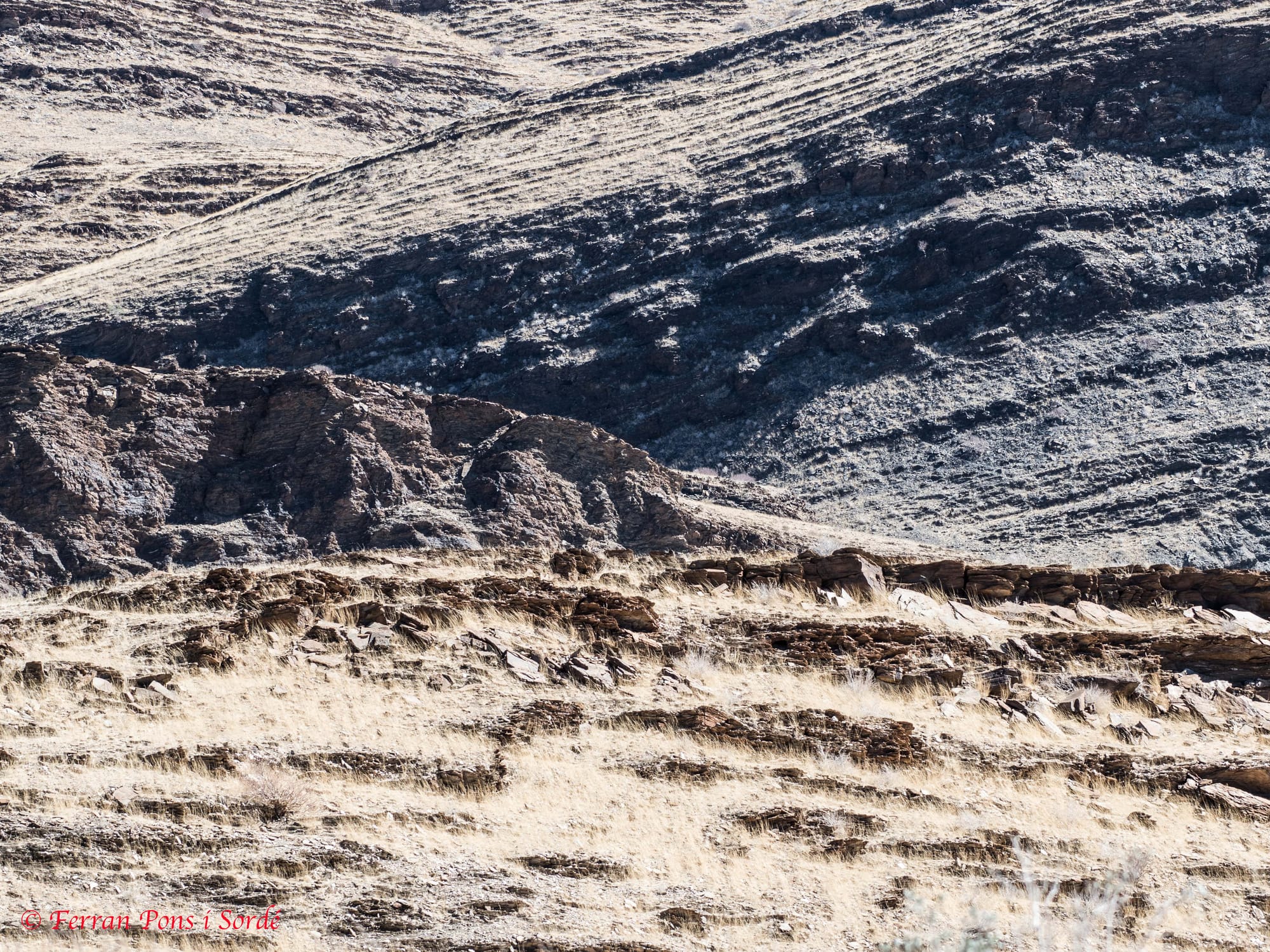 Desert del Namíb