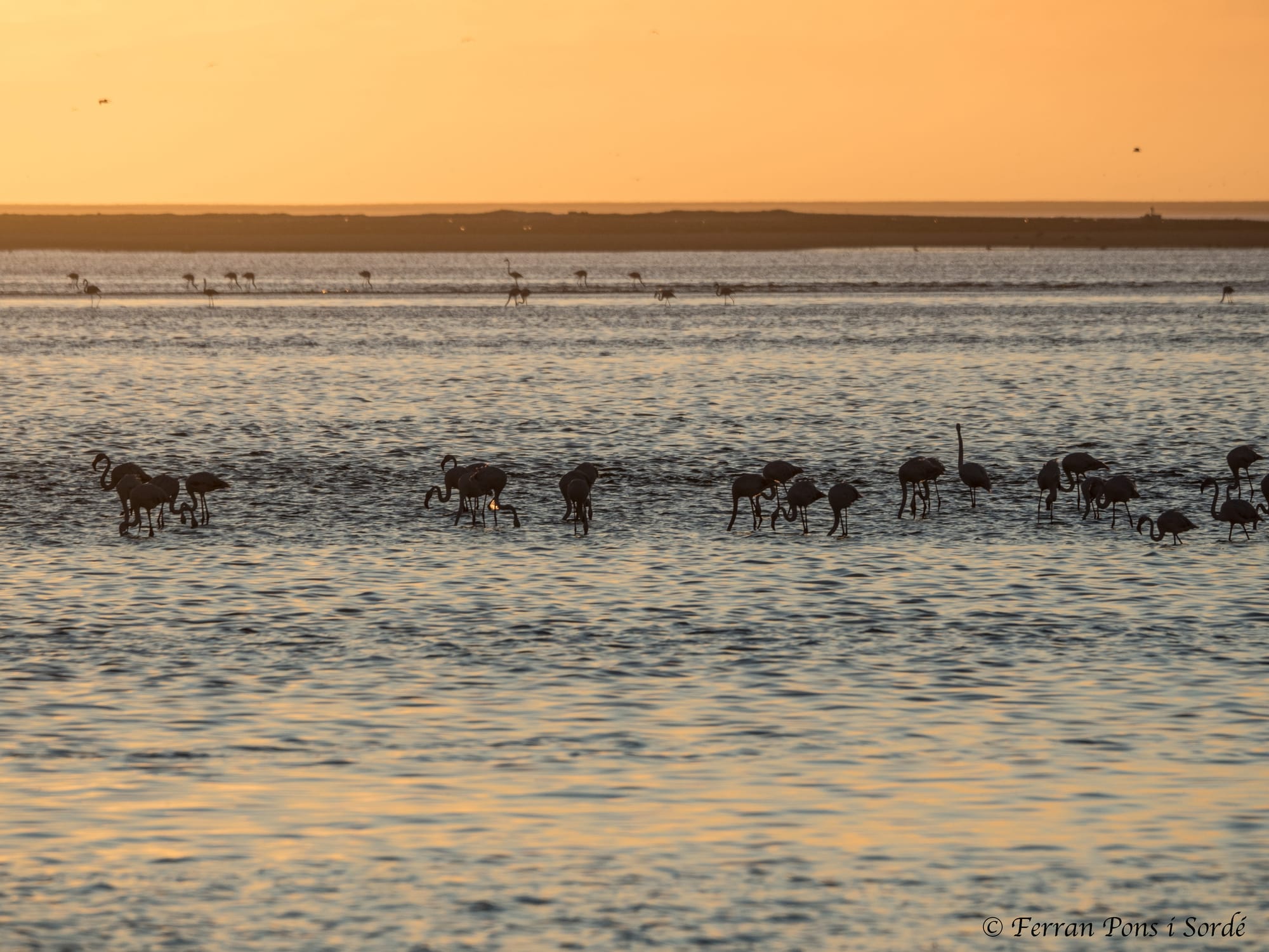 Walbis Bay