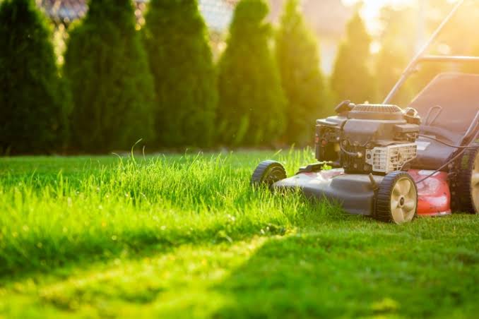 Tips for Maintaining the Lawn