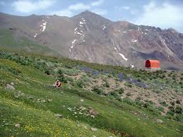 Sialan mount