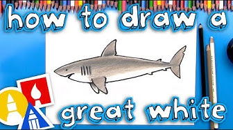 Great White Shark