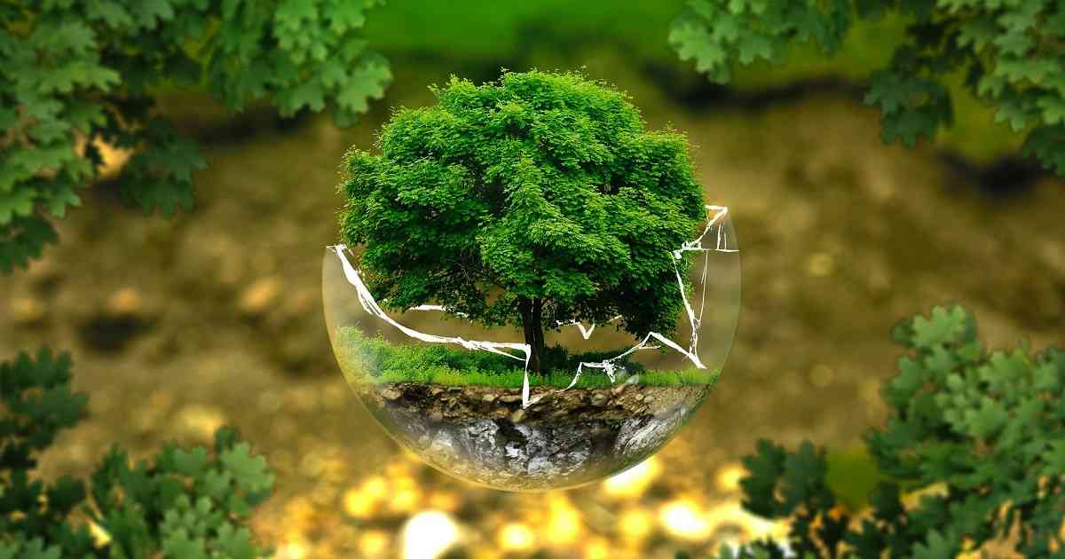 ¡ 5 DE JUNIO DÍA MUNDIAL DEL MEDIO AMBIENTE !