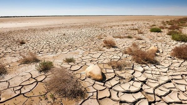 ¡ 17 DE JUNIO DÍA MUNDIAL DE LUCHA CONTRA LA DESETIFICACIÓN Y LA SEQUIA !
