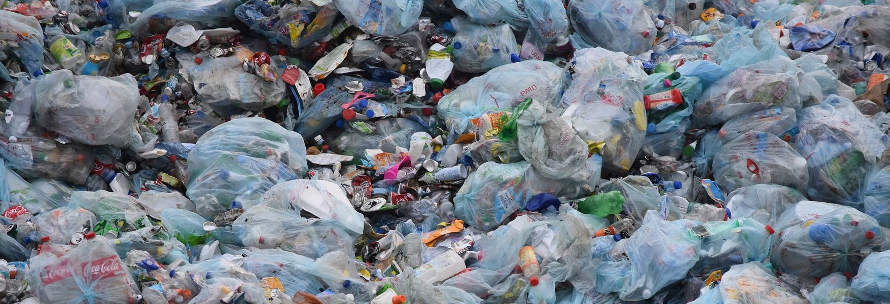 ¡ 3 DE JULIO DÍA INTERNACIONAL LIBRE DE BOLSAS DE PLÁSTICO !