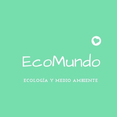 EcoMundo