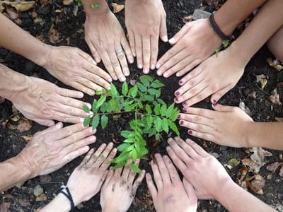 ¿Quiénes Somos? image