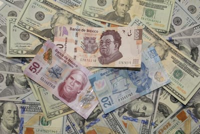 “La falta de Economía en México”