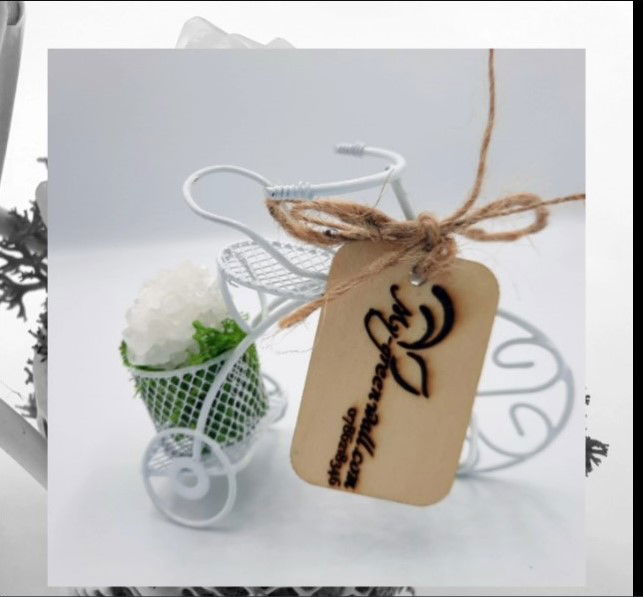 Cristale și licheni stabilizați