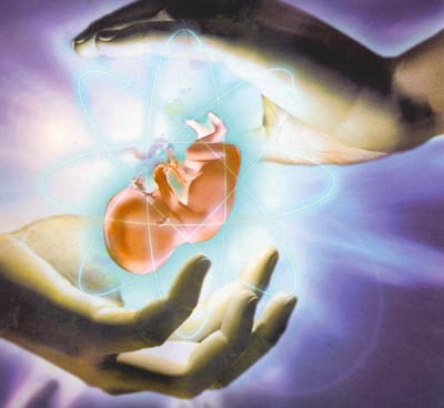 Reencarnação  image