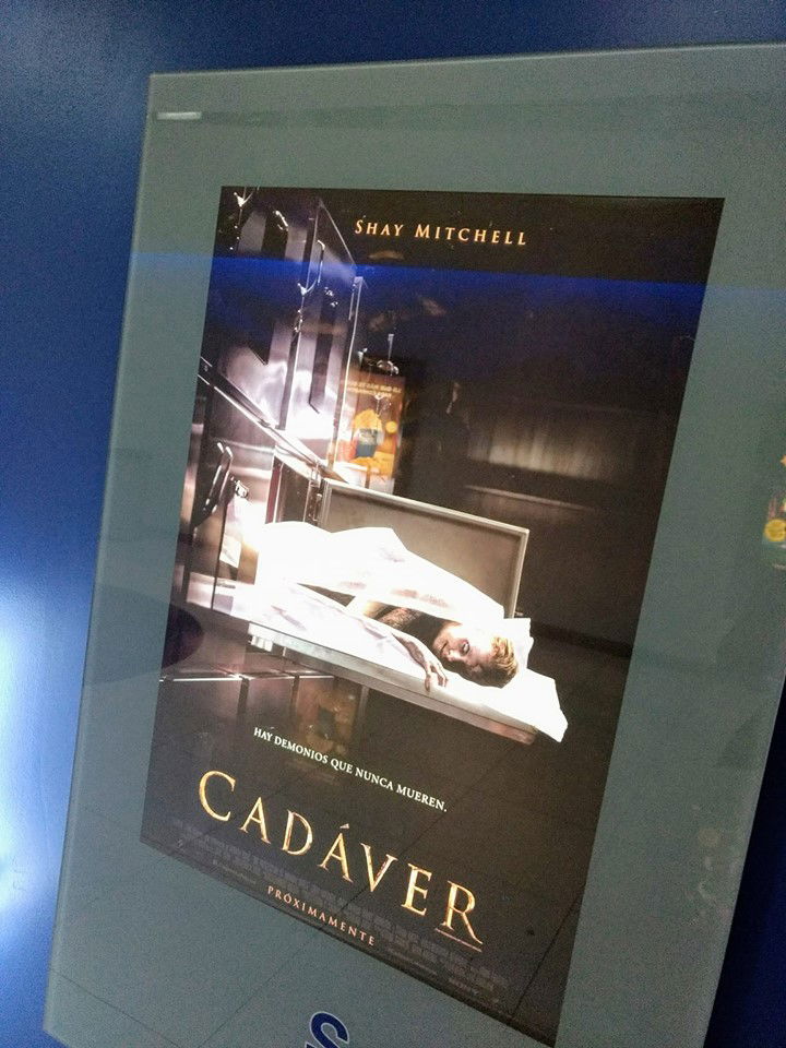 Cadaver