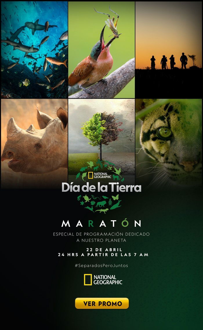 Este Dia Internacional De La Tierra Encuentra Programacion Especial En National Geographic