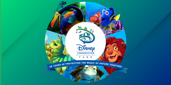 El Fondo Para La Conservacion De Disney Continua Su Compromiso De 25 Años Con La Conservacion Protegiendo A Mas De 100 Especies En 25 Paises