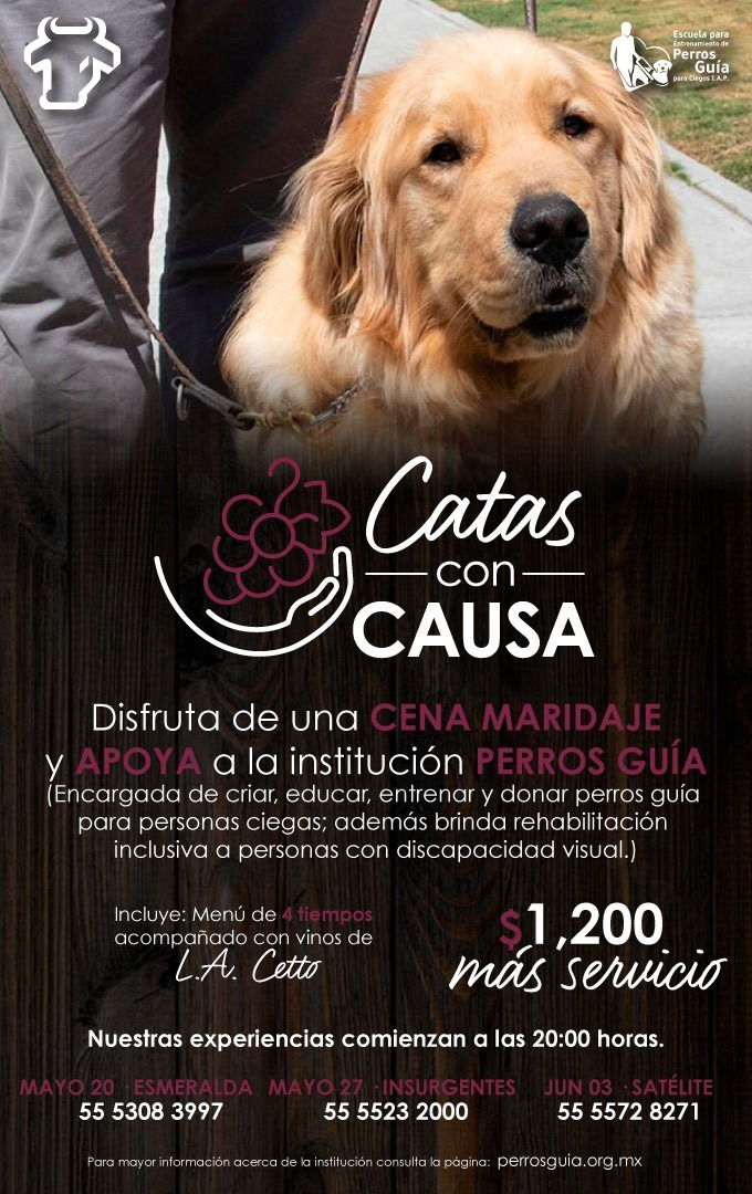 La Mansión Te Invita A Apoyar A La Institución De Perros Guía Disfrutando De Una Cena Maridaje