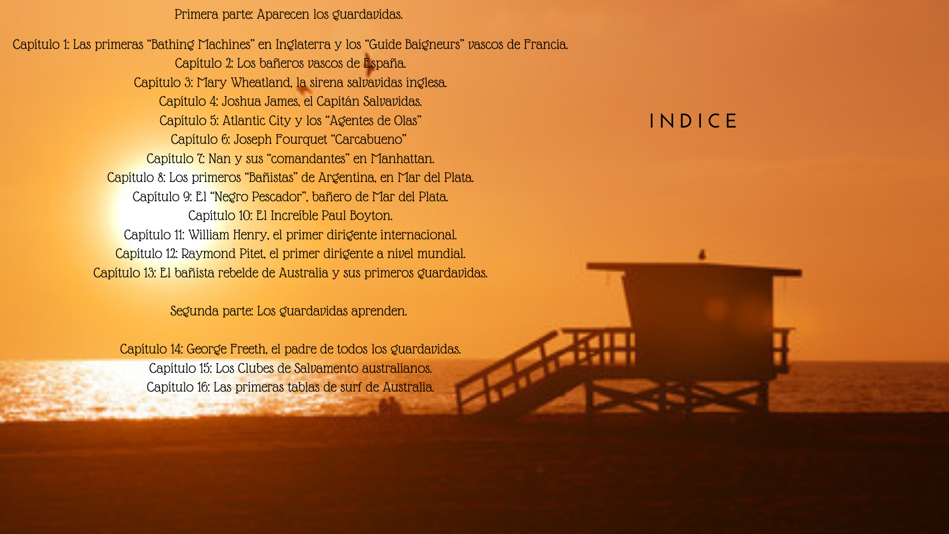 INDICE 1