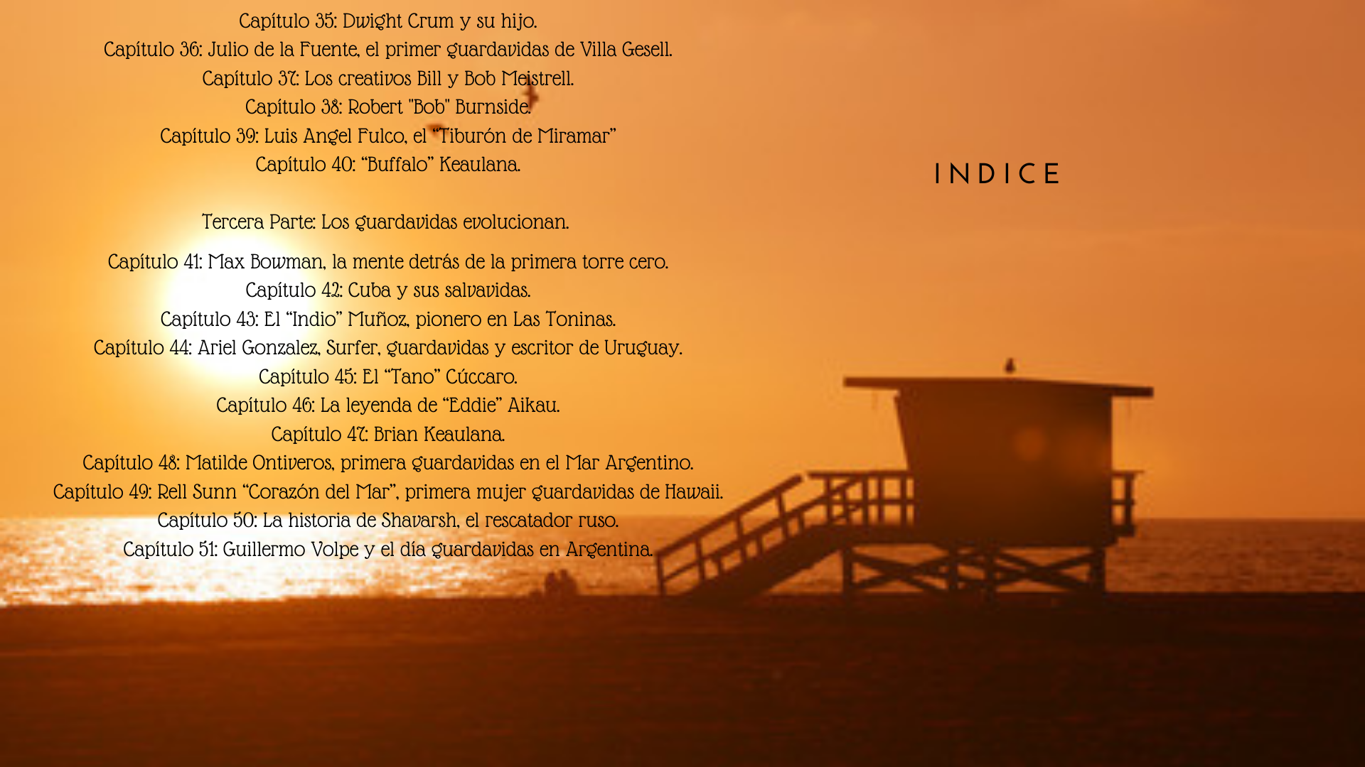 INDICE 3