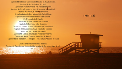 INDICE 4
