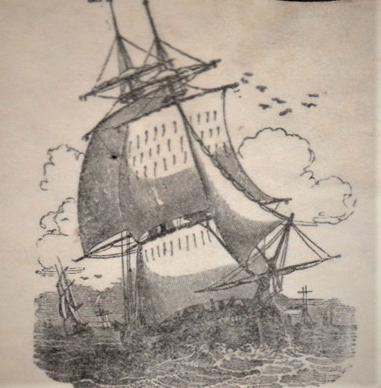 UPDATE FOR FEBRUARY - Sailing into the New Year