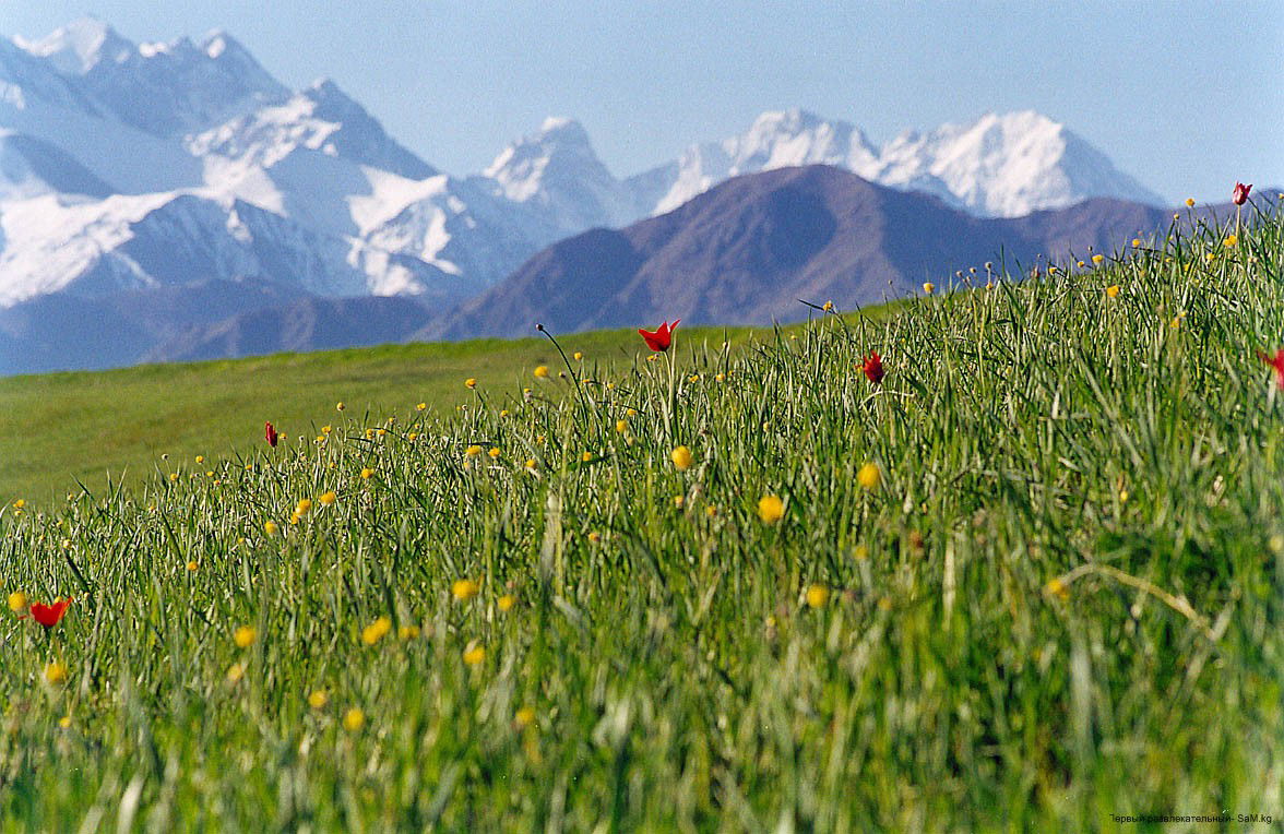 Баткен