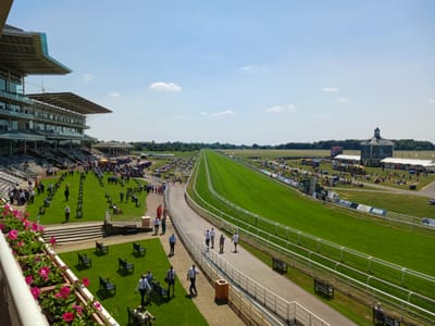 Under Starters Orders