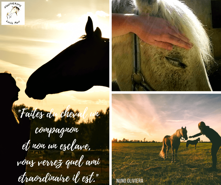 Pourquoi le Cheval ?