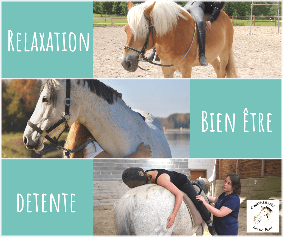Bien-être et relaxation au contact du cheval