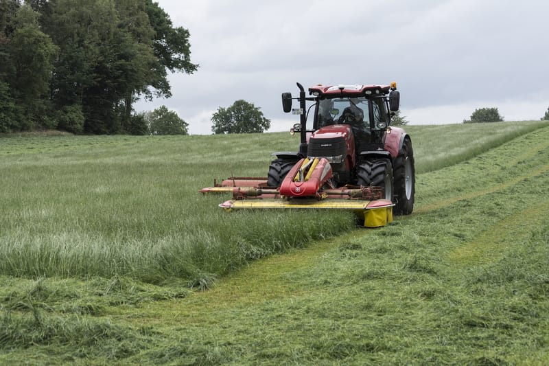 Mowing And Edging