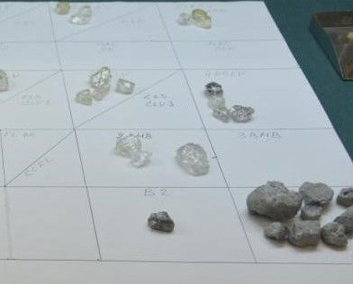 Training and skills transfer