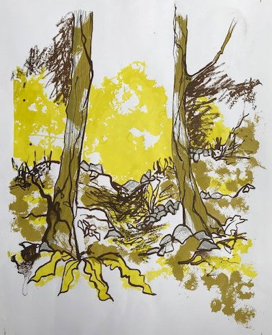 Worlebury Woods Screen Prints