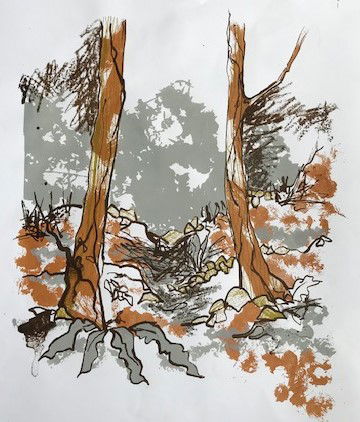 Worlebury Woods Screen Prints