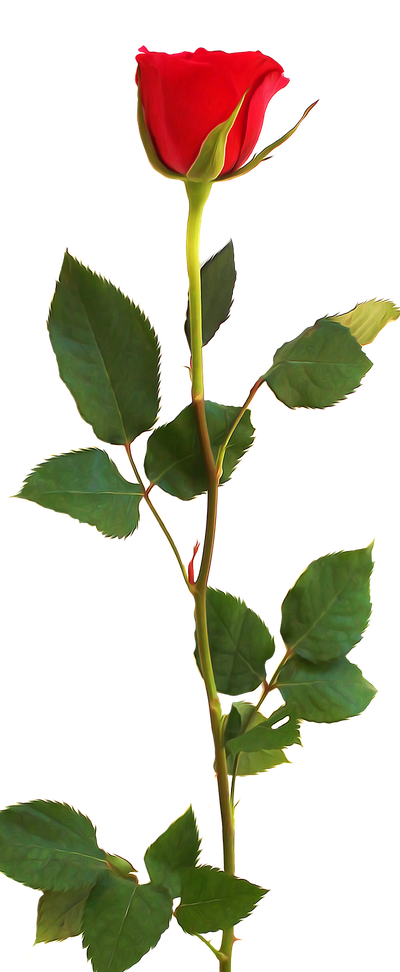 PENGHARGAAN image