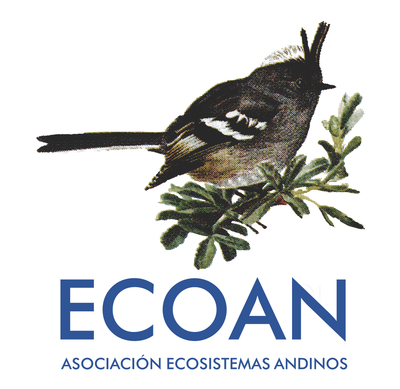 Asociación Ecosistemas Andinos