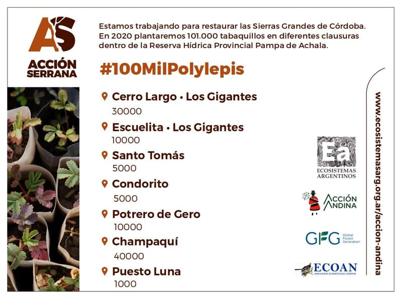 Objetivo 2020:  PLANTAR 100.000 TABAQUILLOS