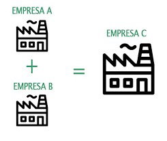 Fusión y Absorción